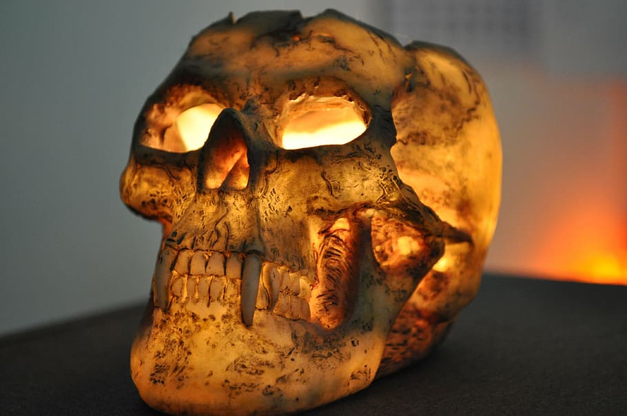 skull and crossbones, candle, windlight, skeleton, close-up HD wallpaper