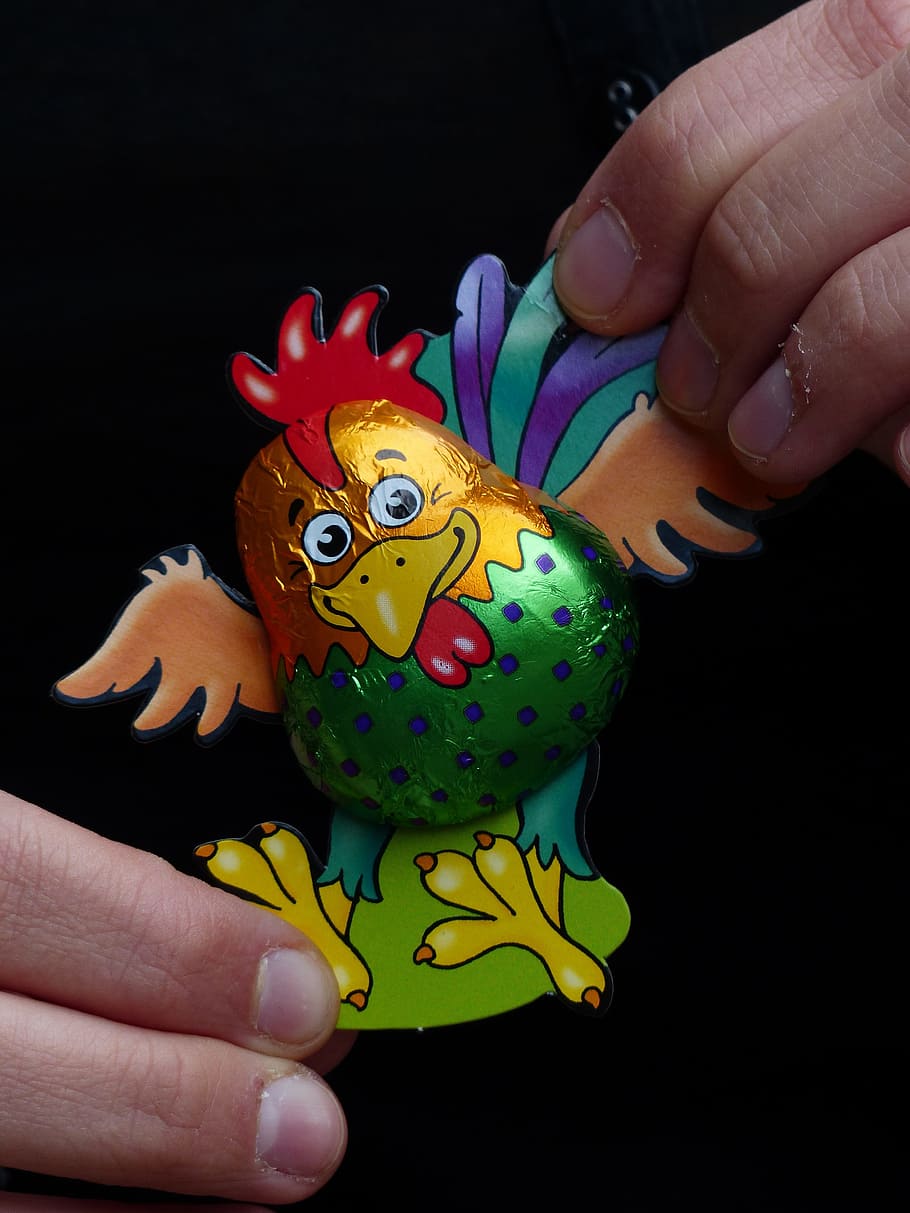 Hahn, Chicken, Hen, Chocolate, Colorful, funny, cheerful, human Hand HD wallpaper