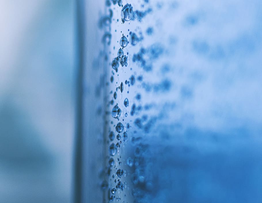 macro photography of water dew, selective focus photography of dew on glass HD wallpaper
