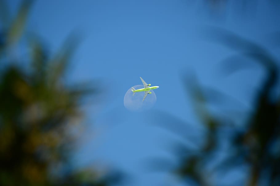 plane, moon, airliner, sky, low angle view, plant, nature, blue HD wallpaper