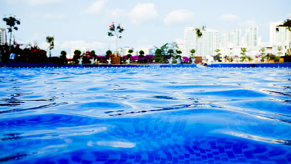 swimming pool, water, sumer, blue, clear, nature, day, rippled HD wallpaper