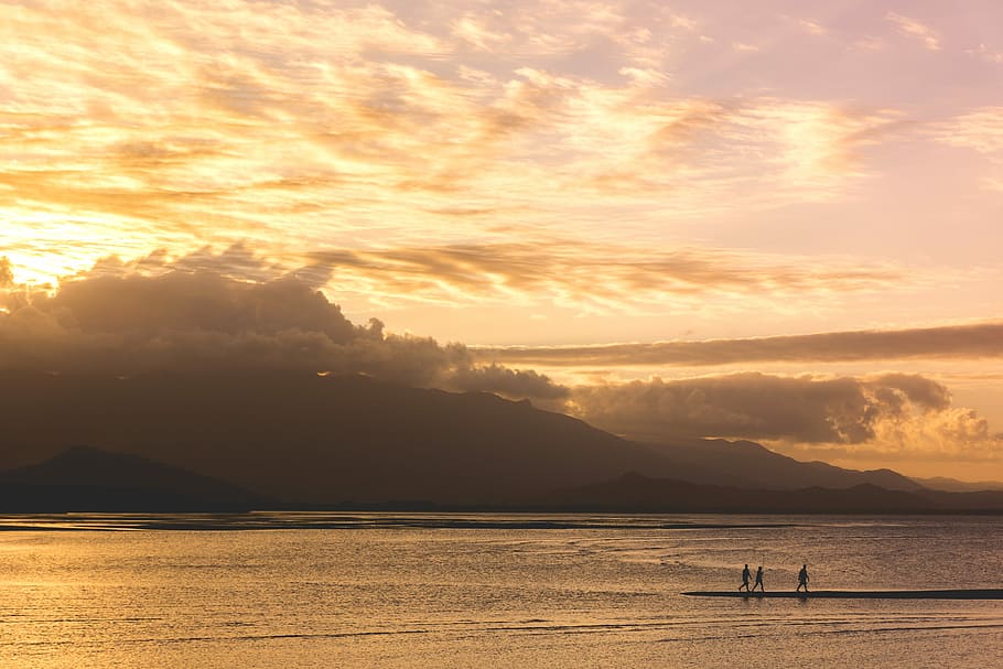 silhouette of three people walking on body of water during golden hour, people walking near body of water and island during golden hour HD wallpaper