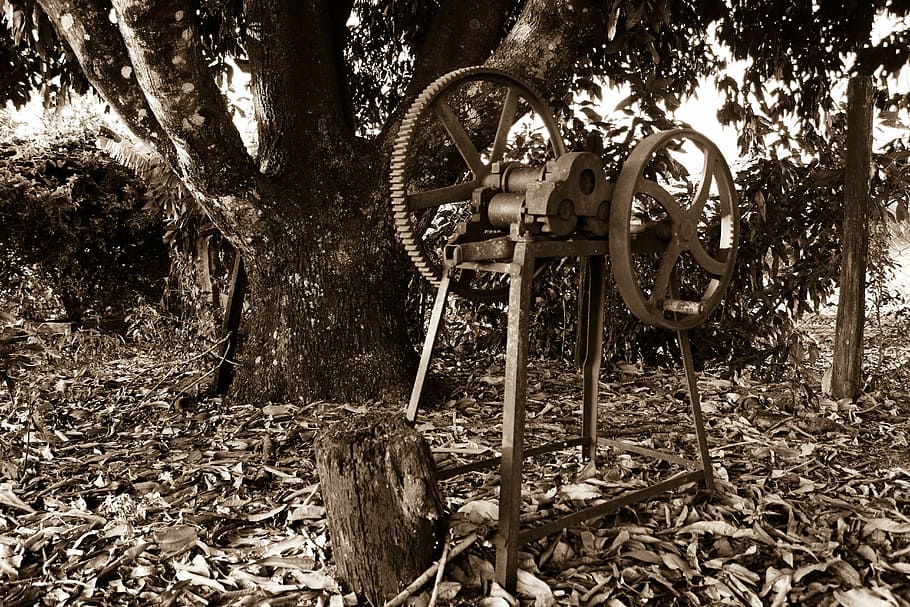 ingenuity, site, farm, chacara, farmer, place, field, plant HD wallpaper