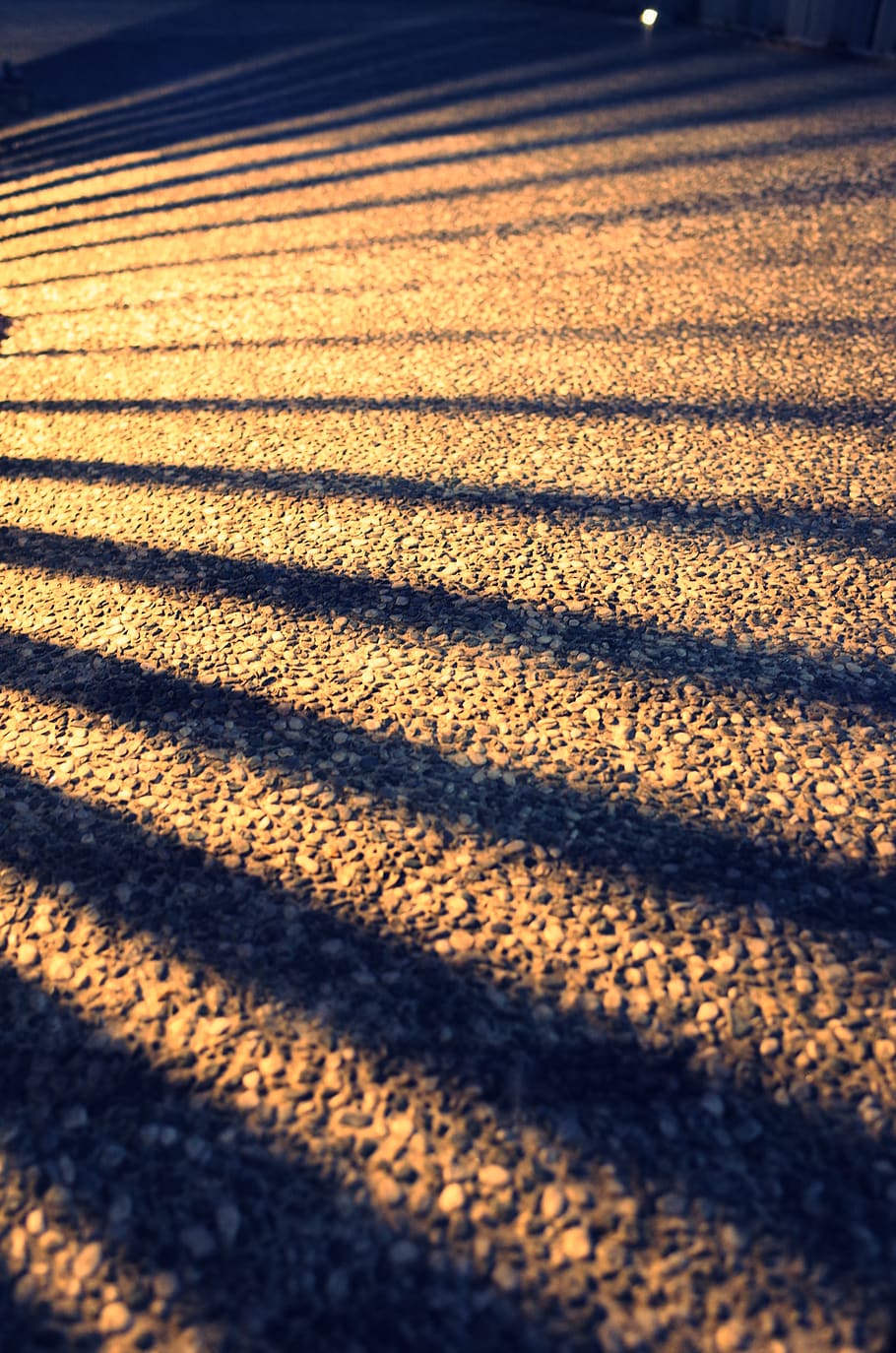 taiwan, taichung, 燈, shadow, sunlight, nature, no people HD wallpaper
