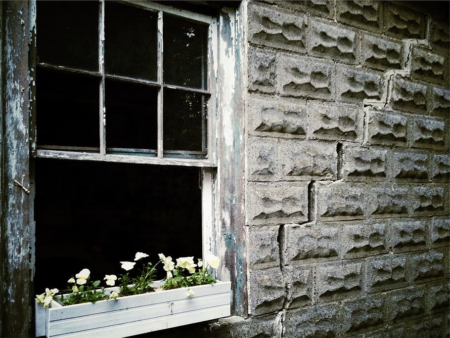 window, sill, flowers, pot, stones, built structure, architecture HD wallpaper
