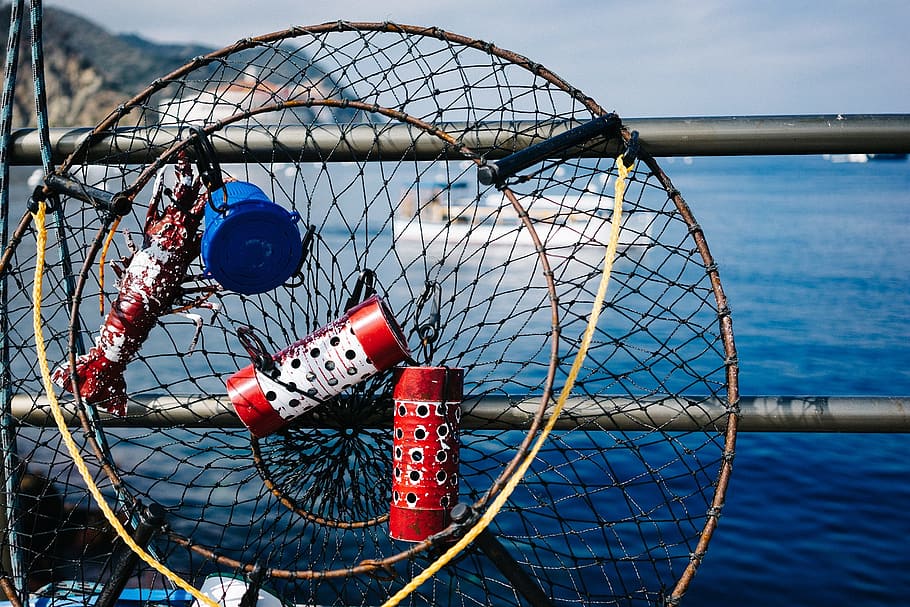 HD wallpaper: fishing, nets, fisherman, ocean, equipment, catching