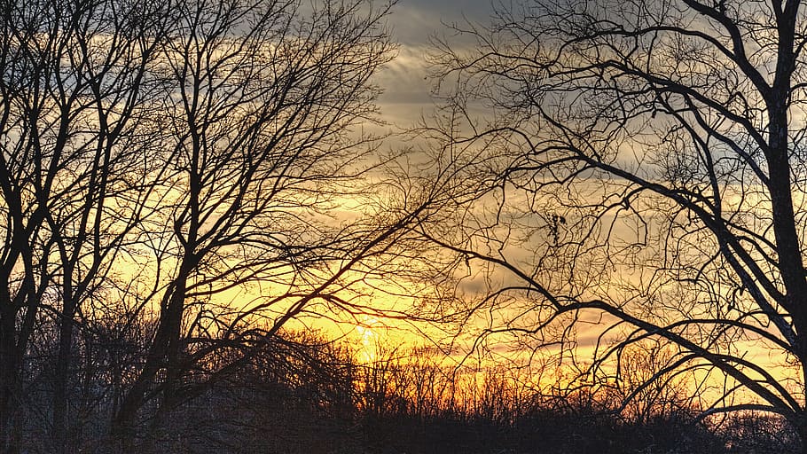 sunset, scenery, trees, artistic, art print, digital art, colorful HD wallpaper