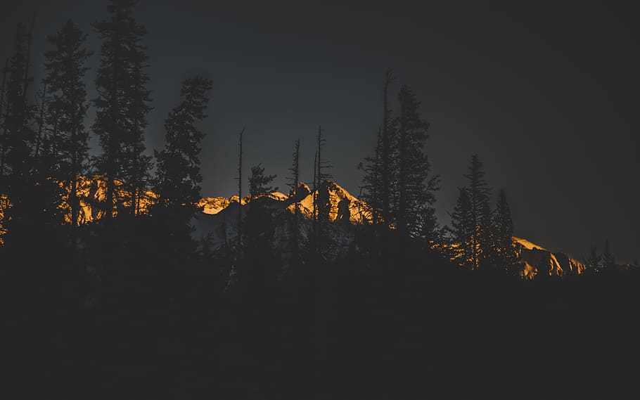 landscape photo on mountain alps, silhouette of trees near white mountain during sunset