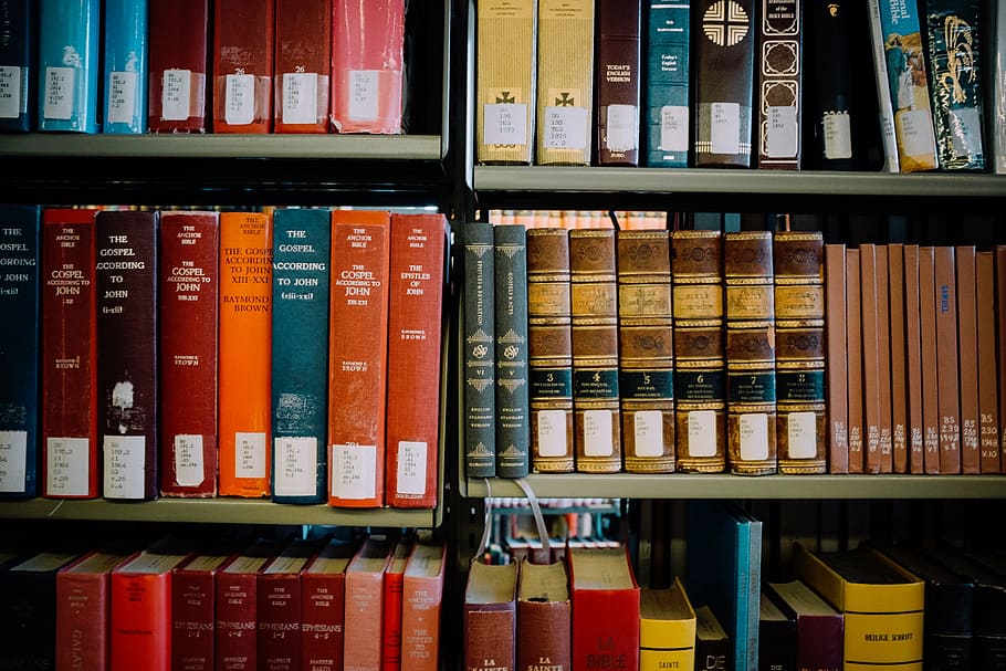 book on rack, shelves, library, orange, books, red, blue, read HD wallpaper