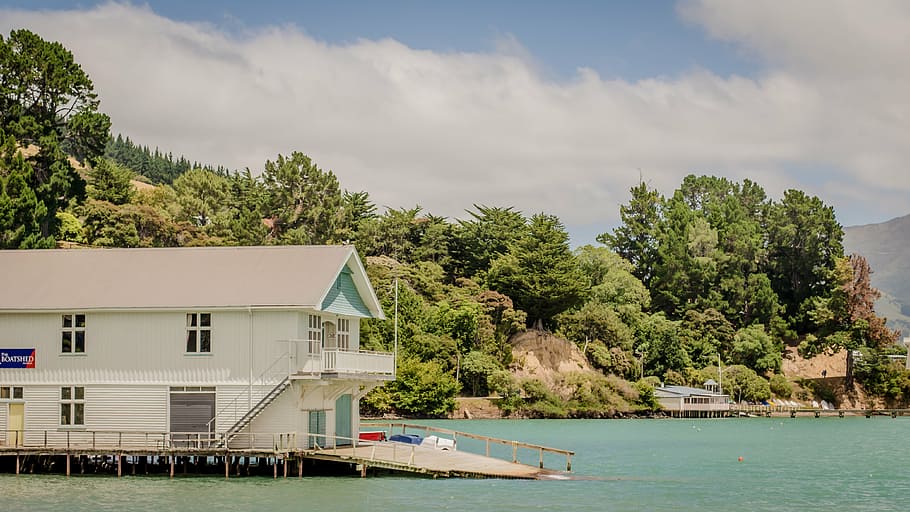 house, spring, sea, water, tree, plant, architecture, built structure HD wallpaper