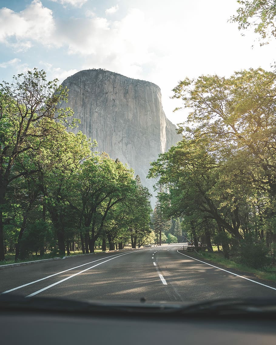 landscape photography of Devil's Tower, empty road between trees during daytime HD wallpaper