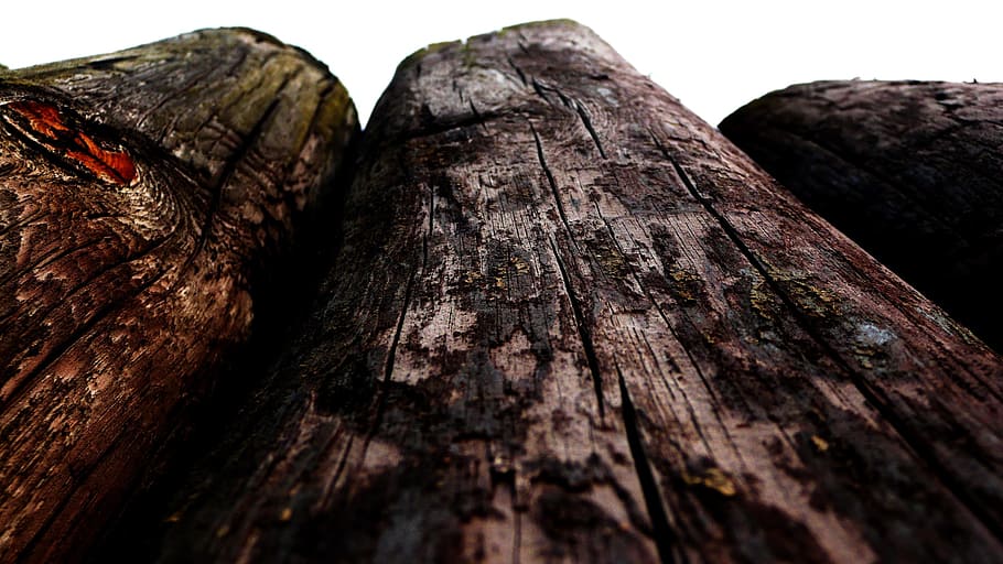 Wood, Posts, Old, Perspective, wooden, poles, worn, rustic HD wallpaper