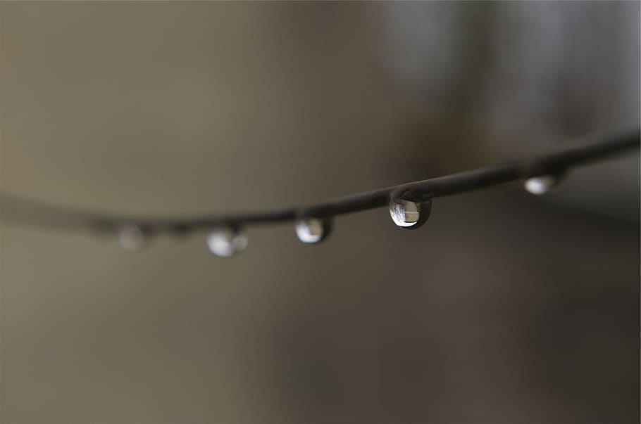 wire, drops, water, symbol, technology, macro, close up, equipment HD wallpaper