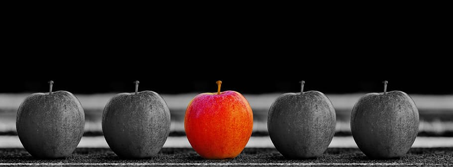 selective focus photography of 5 apples, fruit, selection, especially HD wallpaper