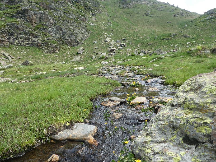 river, mountain, andorra, plant, rock, beauty in nature, tranquility HD wallpaper