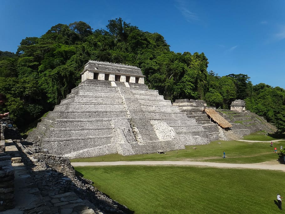 mexico, temple, palenque, jungle, green, central america, nature HD wallpaper