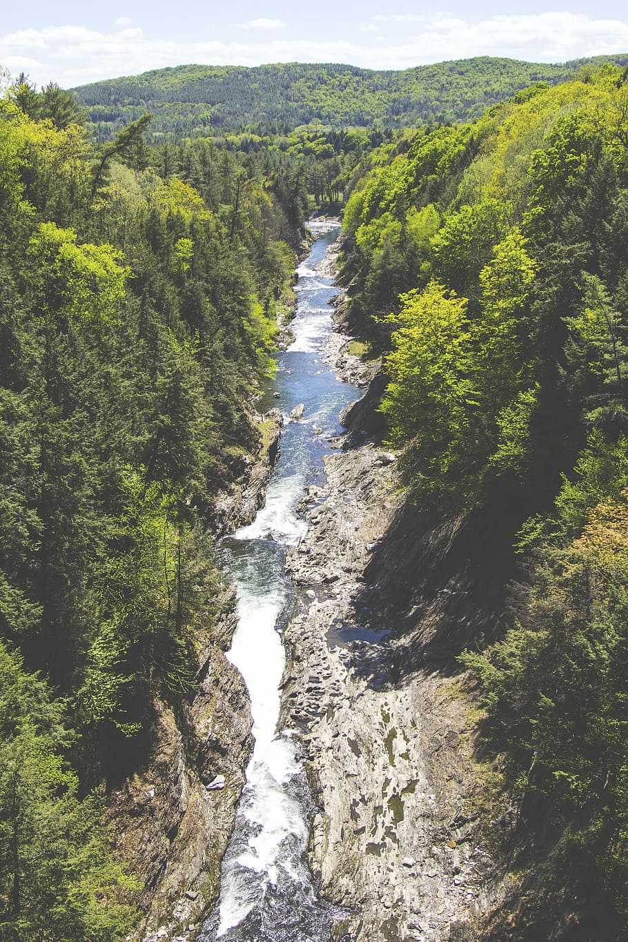 creek, stream, valley, wild, water, nature, forest, river, landscape HD wallpaper