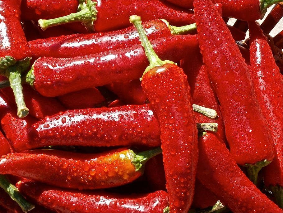 bunch of red chili, lot, fruit, pepper, vegetable, vegetables HD wallpaper