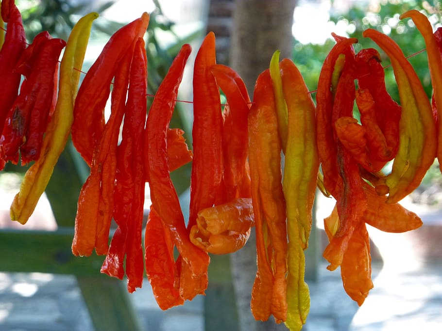 vegetable, chili pepper, sun, drying, red, focus on foreground HD wallpaper