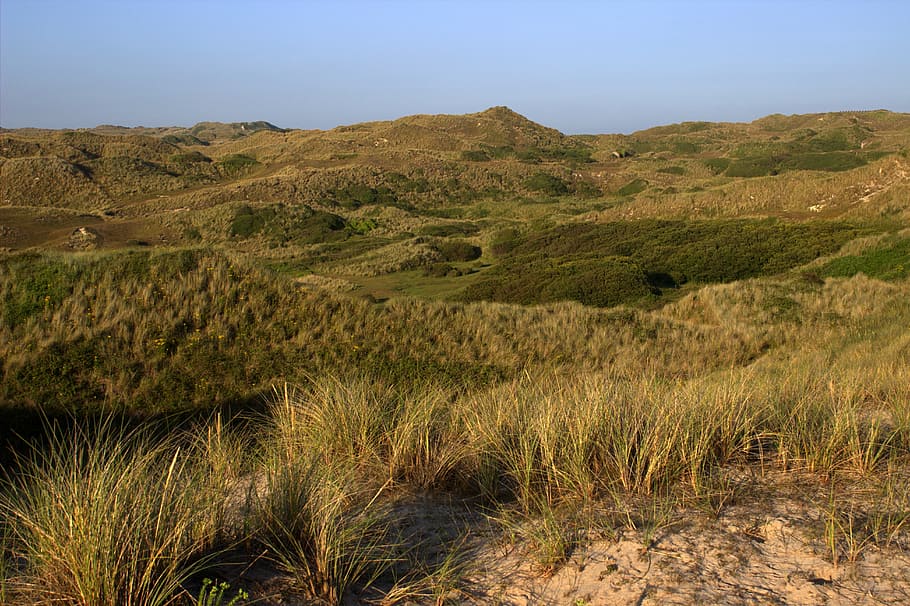 dunes, landscape, cornwall, nature, outdoors, hill, plant, scenics - nature HD wallpaper