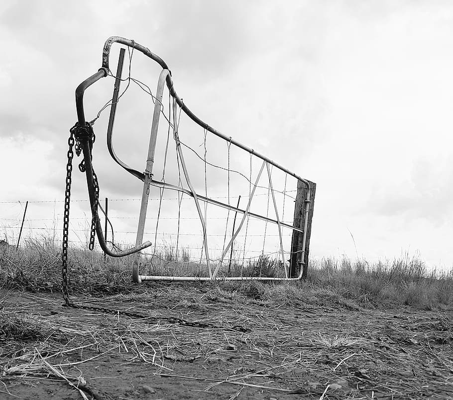 Grayscale Photo of Steel Fence, black-and-white, expression, field