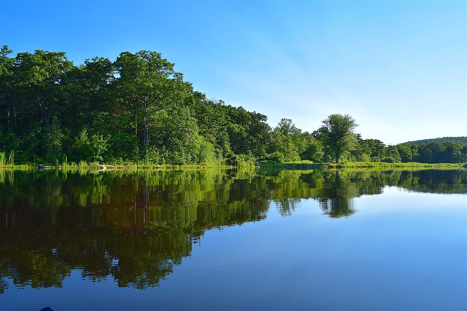 lake, trees, water, reflection, landscape, nature, sky, blue HD wallpaper