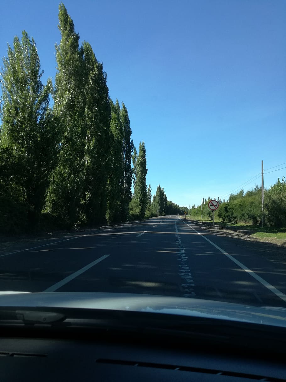 landscape, road, trees, transportation, car, motor vehicle HD wallpaper