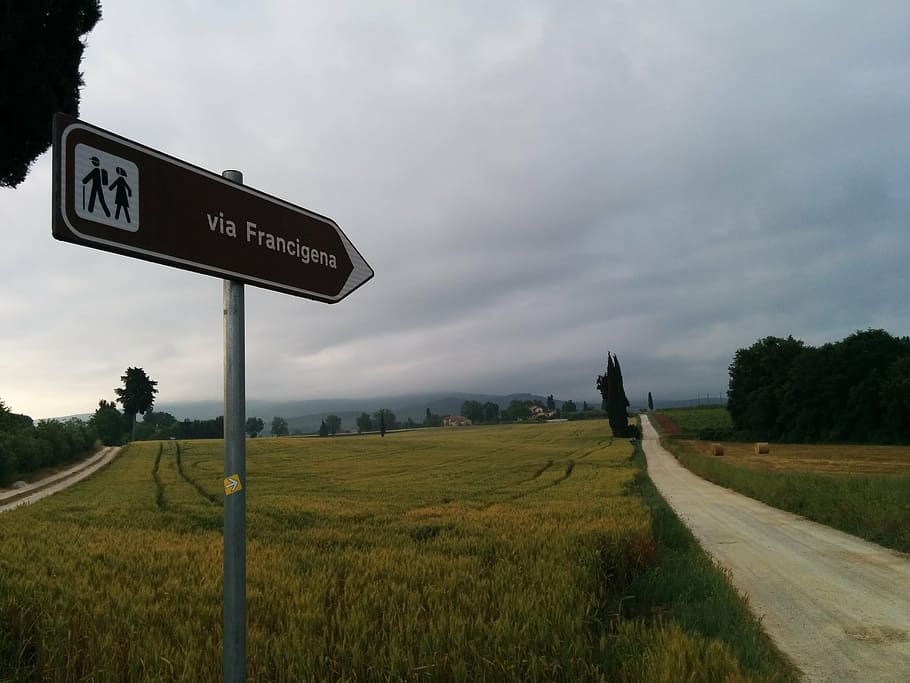 italy, via francigena, path, sign, sky, plant, road, grass HD wallpaper