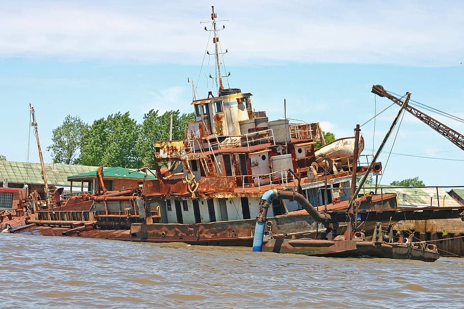 argentina, tiger, delta, river, boat, water, scrapping, broken HD wallpaper