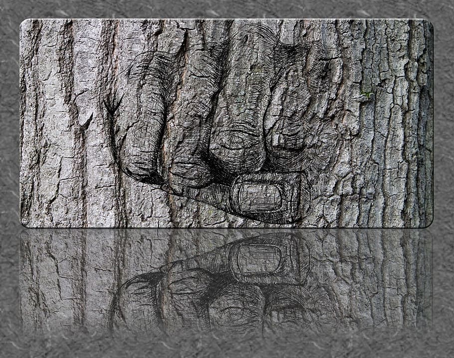 Fist, Sketch, Reflect, Tree, Bark, mark, background, textured HD wallpaper