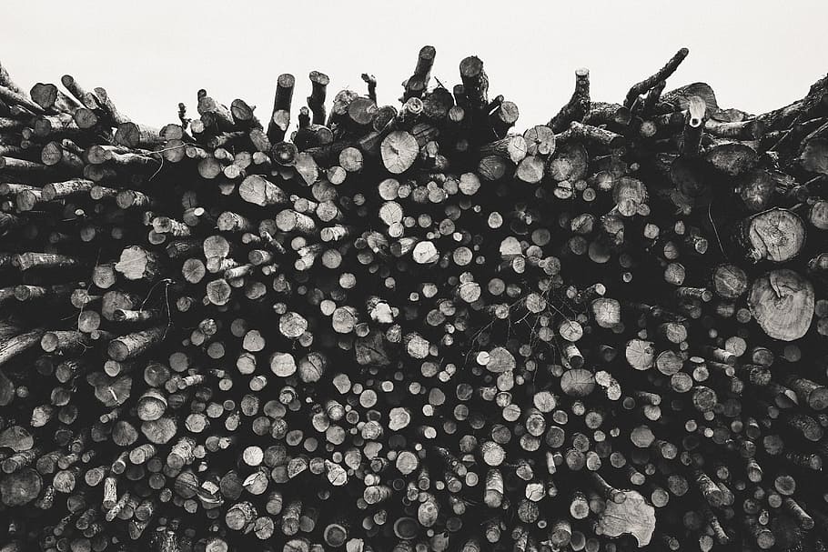 Pile of logs, industry, black Color, black And White, nature HD wallpaper