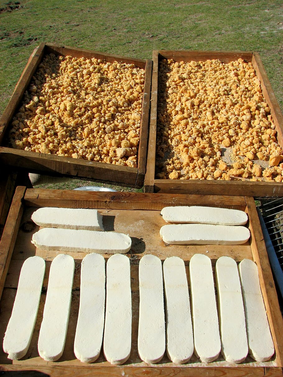 cheese, cheese drying, step, eating, mongolia, high angle view HD wallpaper