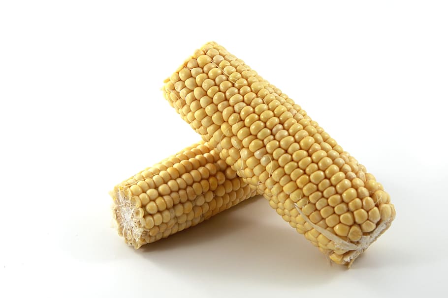 two yellow corn cubs, Cereal, Crop, Eating, Food, freshness HD wallpaper