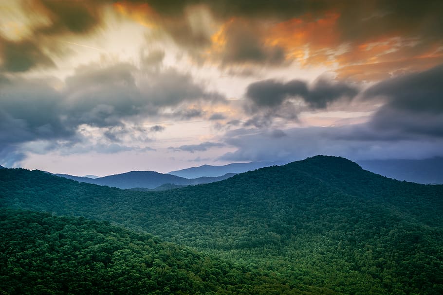 aerial photography of green leaves tree mountain view during daytime, landscape photo of mountain with green trees HD wallpaper