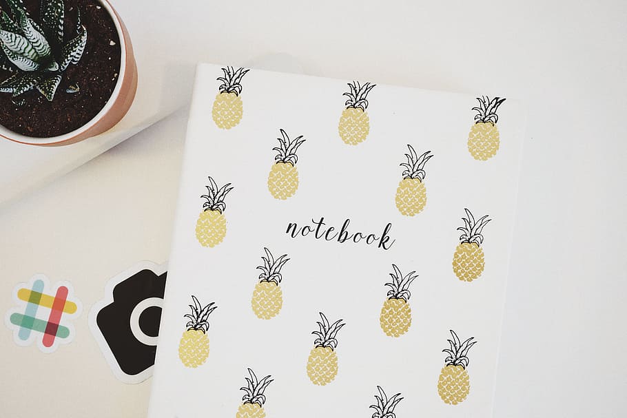 pineapple print notebook, dessert, appetizer, fruit, juice HD wallpaper
