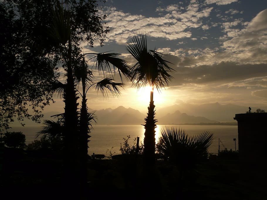 back light, sunset, antalya, sea, outlook, palm trees, idyll HD wallpaper