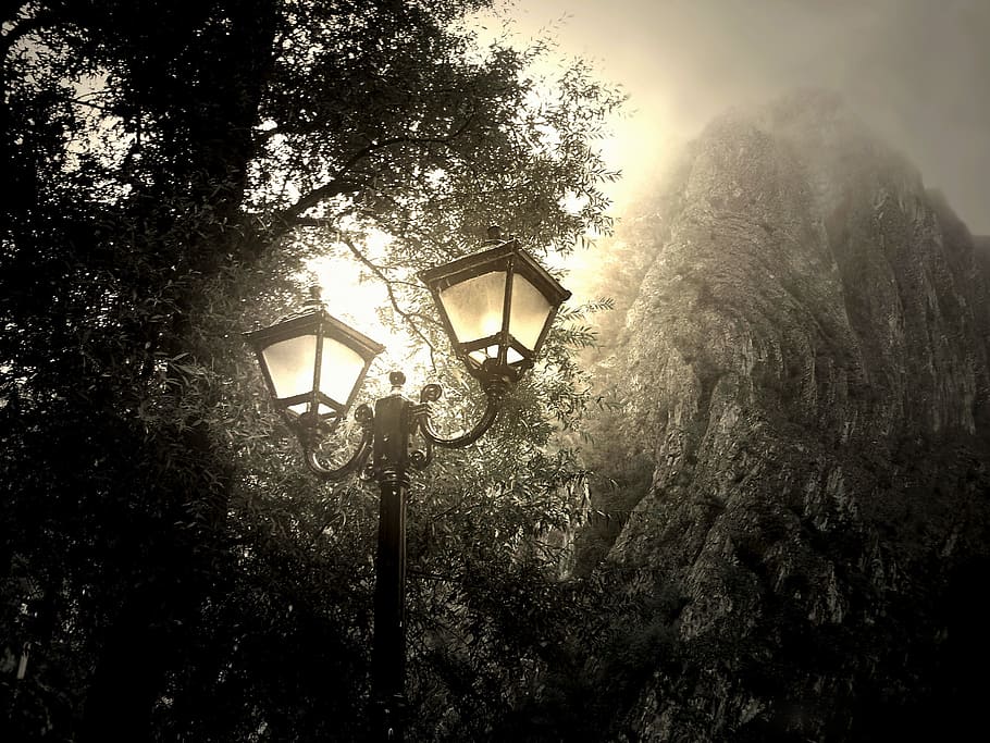 selective color photography of white lamp post, wallpaper, mist HD wallpaper
