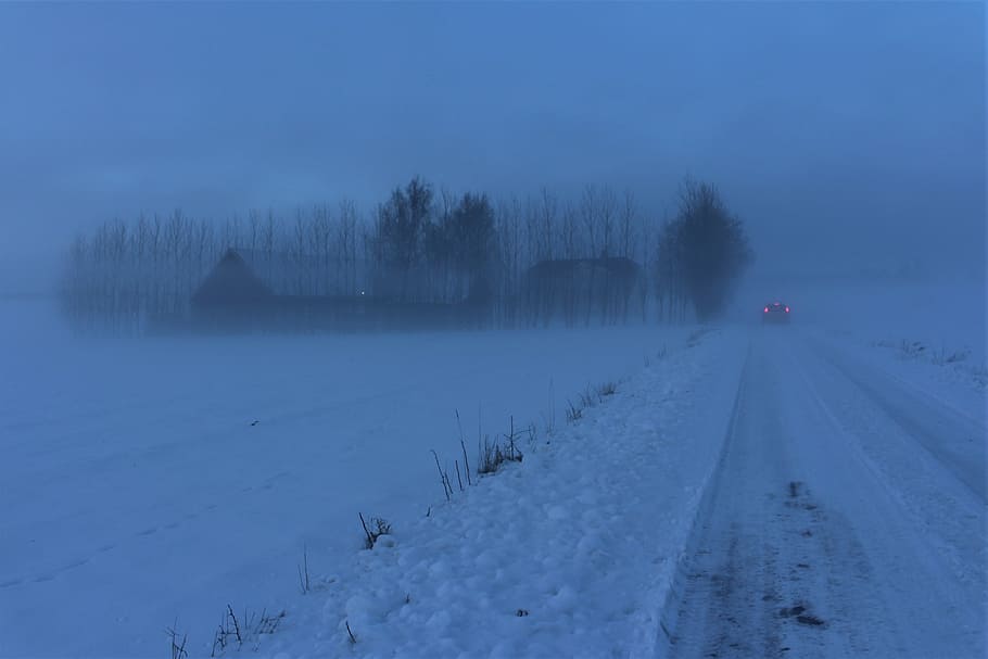 mist, hazy, winter, snow, nature, storm, snow landscape, frost HD wallpaper