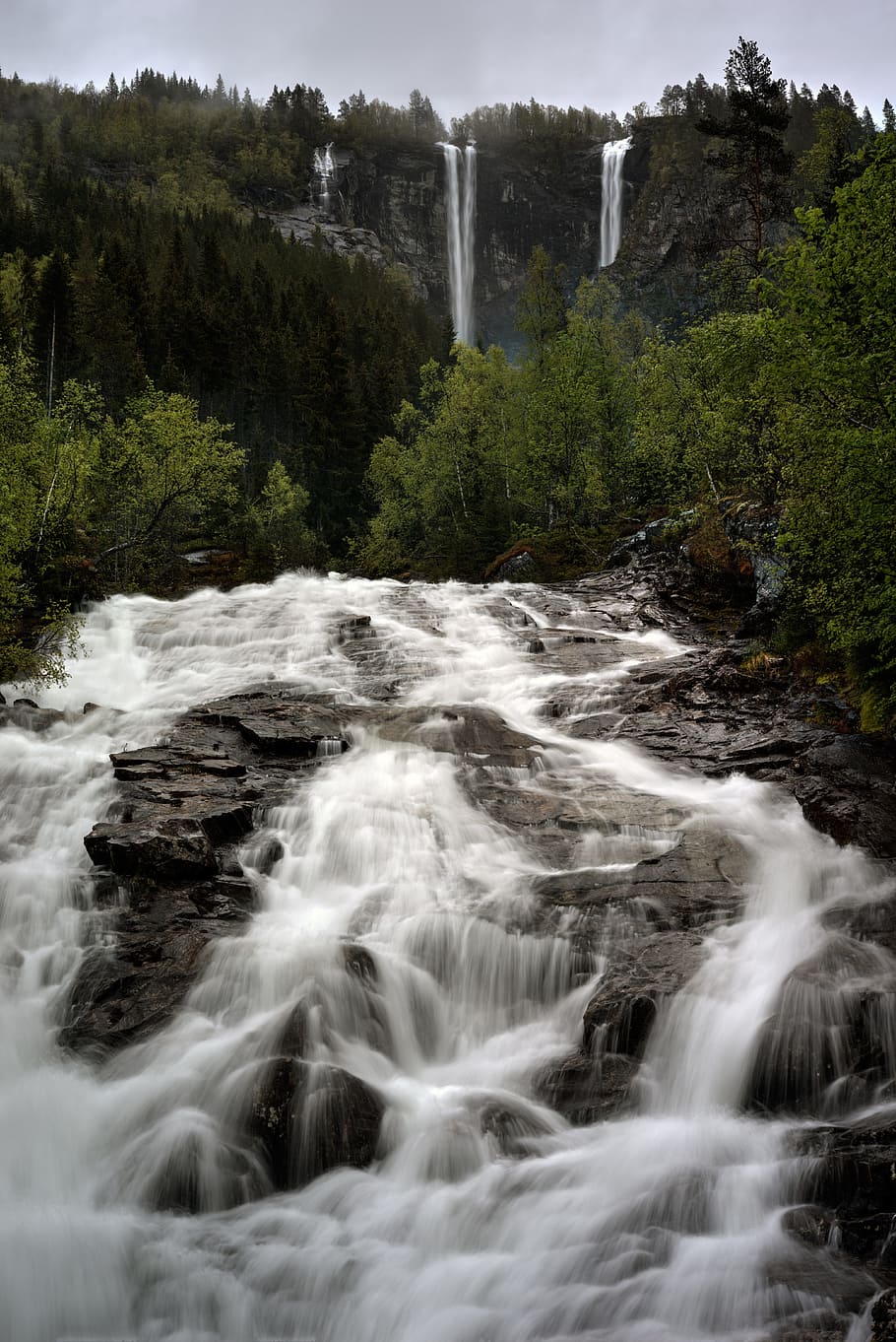water, waterfall, river, wilderness, scenics - nature, tree HD wallpaper