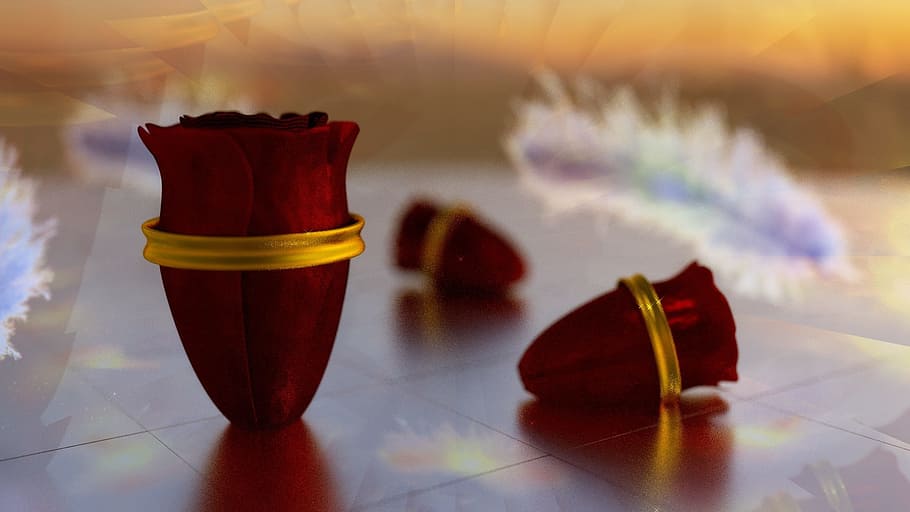 tulips, feathers, sunset, indoors, no people, table, still life HD wallpaper