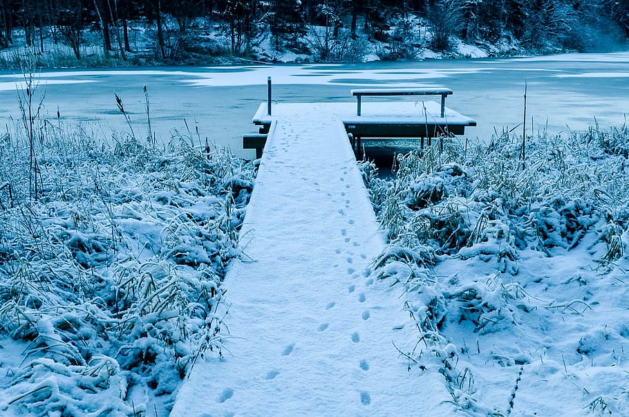 Winter, Snow, Horizon, Landscape, relaxation, lake, ice, nature HD wallpaper