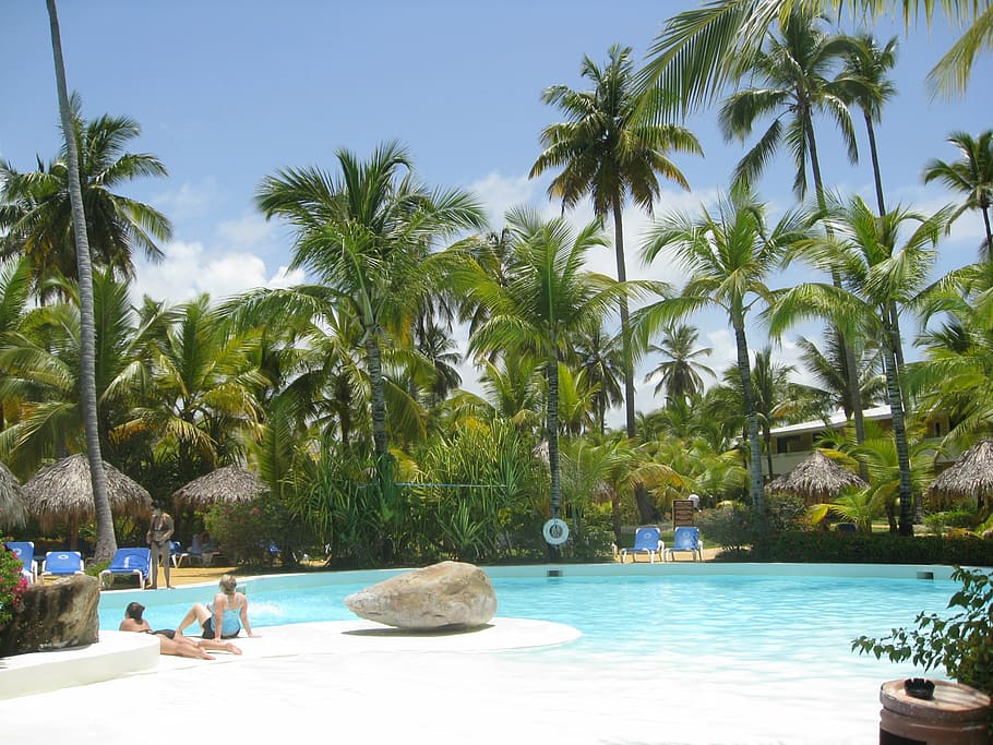 punta cana, dominican republic, travel, summer, tropical, poolside, HD wallpaper