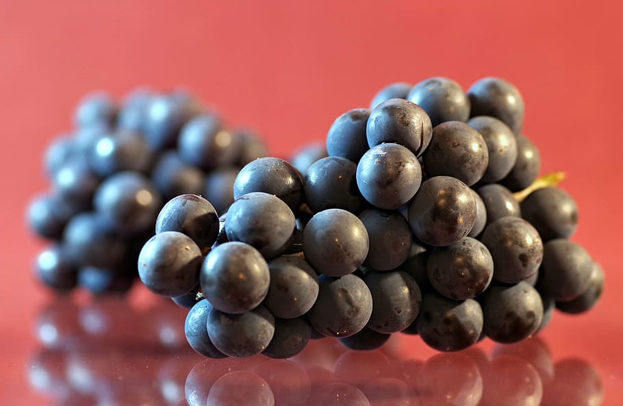grapes, fruit, sweet, vines, bunch of grapes, violet, book HD wallpaper