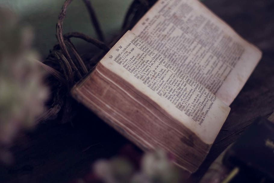 close up photo of bible opened near flowers, shallow focus photography of book HD wallpaper