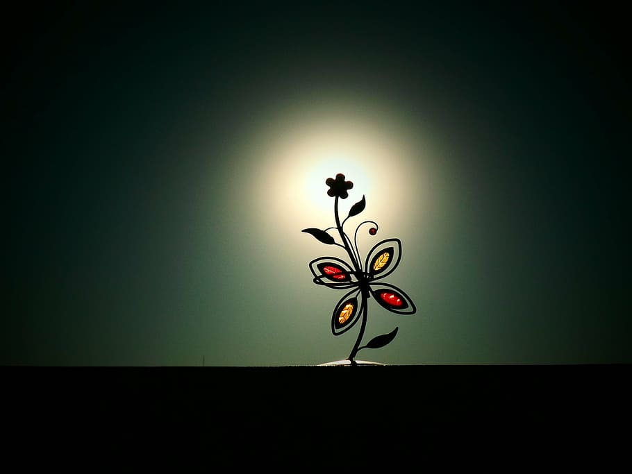sun, flower, backlight, energy, backgrounds, illustration, vector HD wallpaper