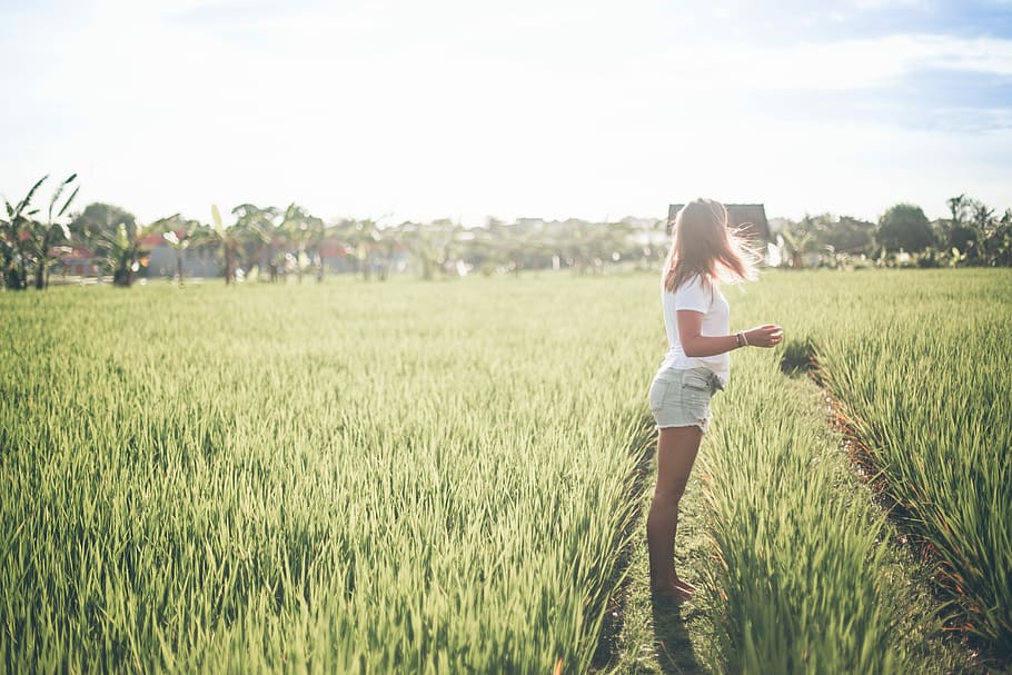 woman stand on green rice fields, woman standing on green grass field during daytime HD wallpaper