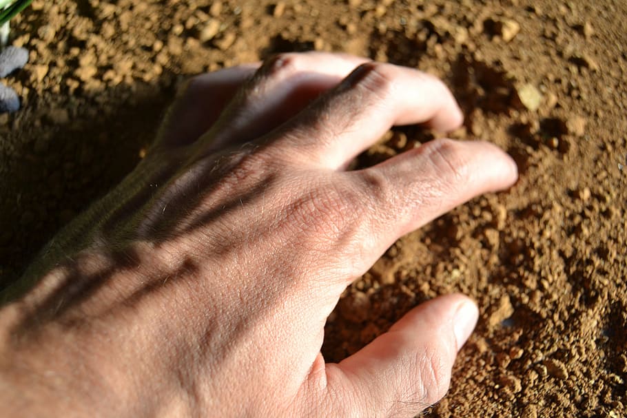 Earth, Farmer, Work, effort, human Hand, sand, people, concepts And Ideas HD wallpaper