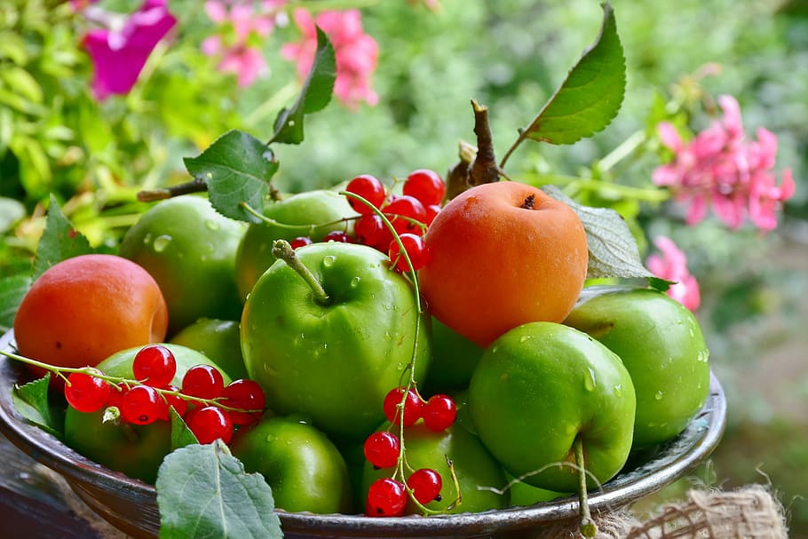 shallow focus photography of green and red apples, fruit, apricots HD wallpaper