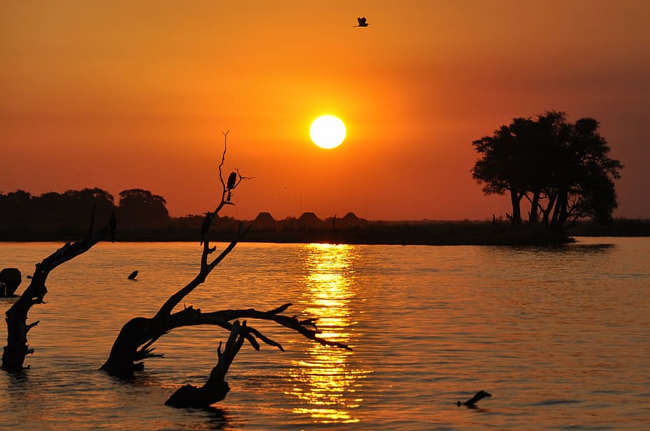 botswana, sunset, chobe, silhouette, nature, water, sea, lake HD wallpaper