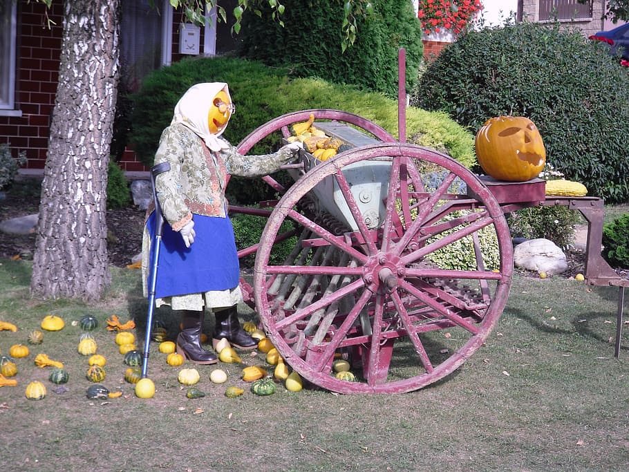 creation, pumpkin, seeding-machine, plant, day, one person HD wallpaper
